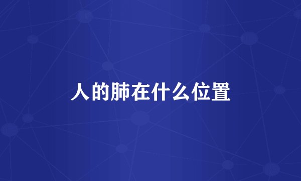 人的肺在什么位置