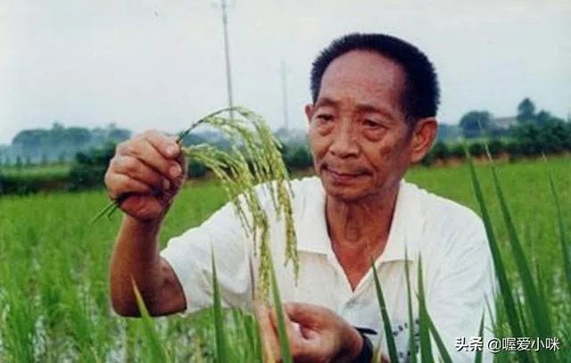 一个视频主播拿袁隆平照片问一些青年，十个有九个不认识你怎么看？