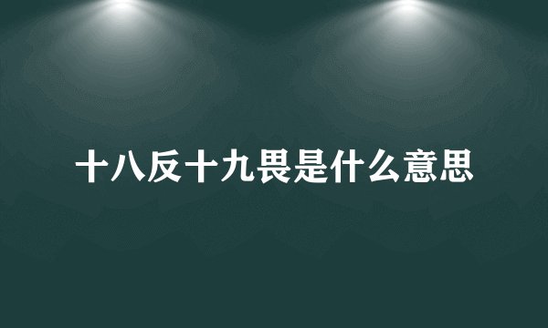 十八反十九畏是什么意思