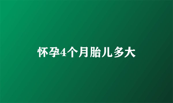 怀孕4个月胎儿多大