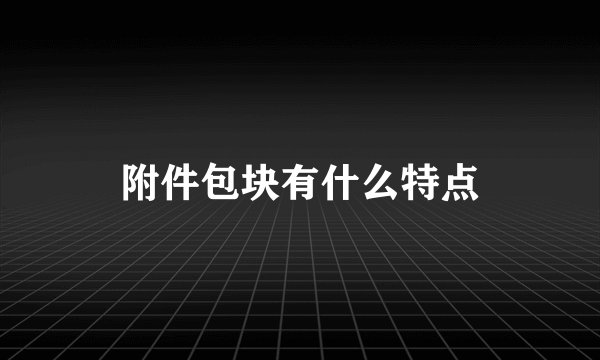 附件包块有什么特点