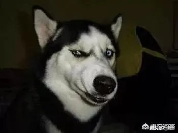 为什么很多人看不到杨振宁的功劳,偏偏喜欢关注学术之外的方面?