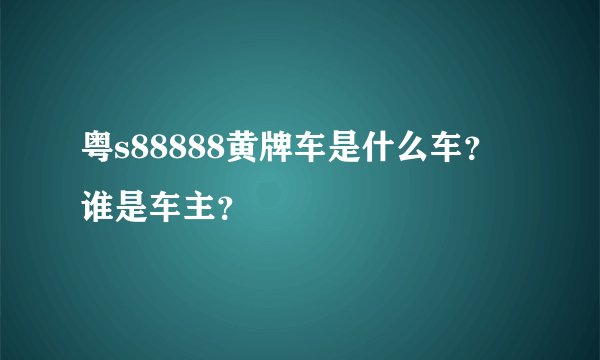 粤s88888黄牌车是什么车？谁是车主？
