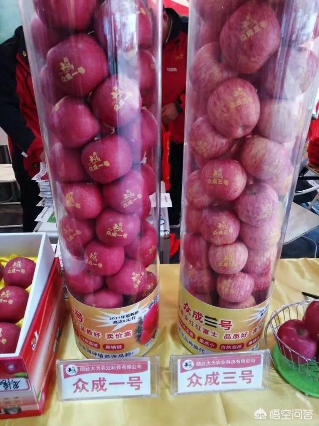 杨凌农高会有哪些新品种？