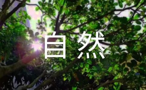 大自然的诗句