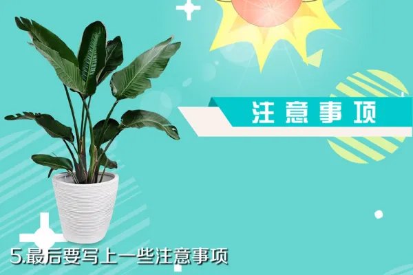 植物记录卡怎么写