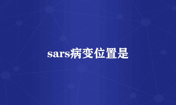 sars病变位置是