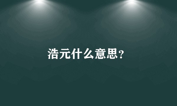 浩元什么意思？