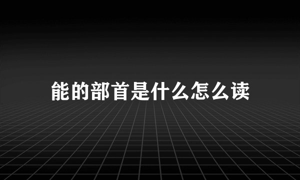 能的部首是什么怎么读