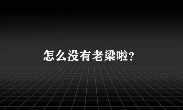 怎么没有老梁啦?