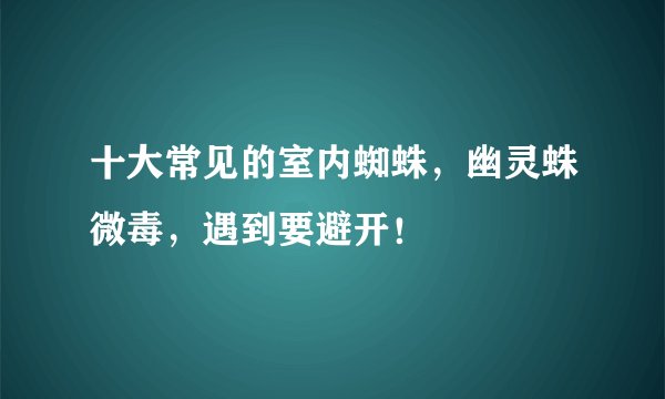 十大常见的室内蜘蛛，幽灵蛛微毒，遇到要避开！