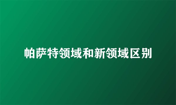 帕萨特领域和新领域区别