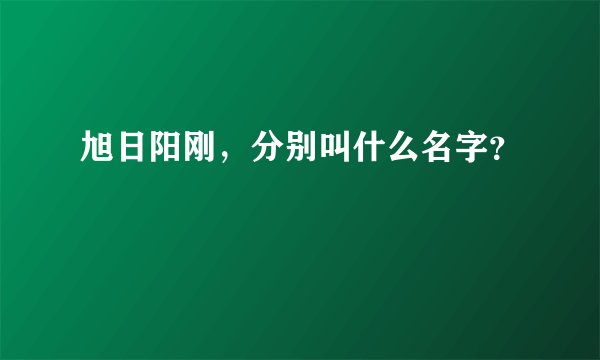 旭日阳刚，分别叫什么名字？