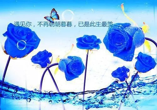 巅峰岁月全本小说（巅峰岁月）全文阅读