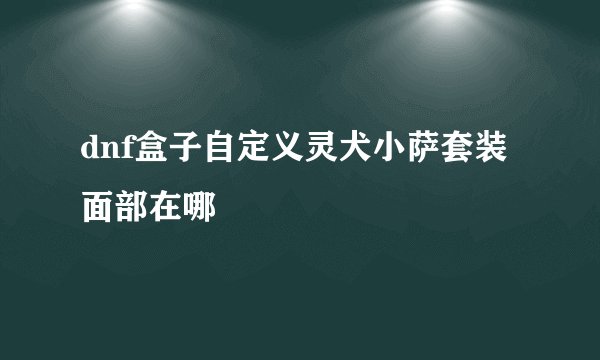 dnf盒子自定义灵犬小萨套装面部在哪