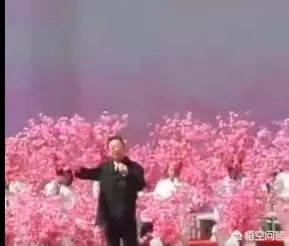 蒋大为唱的那首《在那桃花盛开的地方》,到底是哪个地方?
