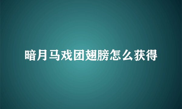 暗月马戏团翅膀怎么获得
