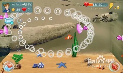水族馆的游戏攻略