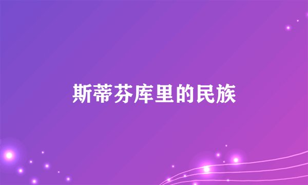 斯蒂芬库里的民族