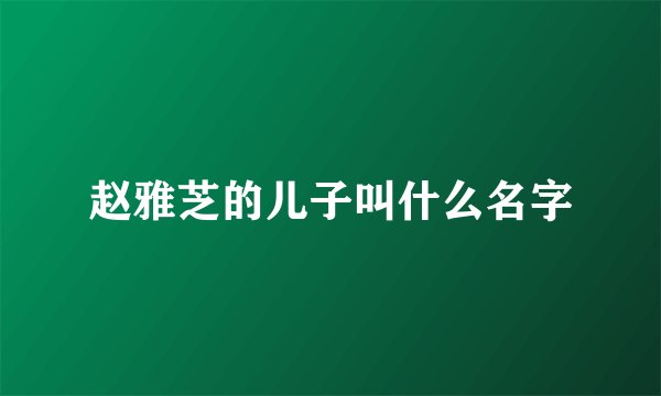 赵雅芝的儿子叫什么名字