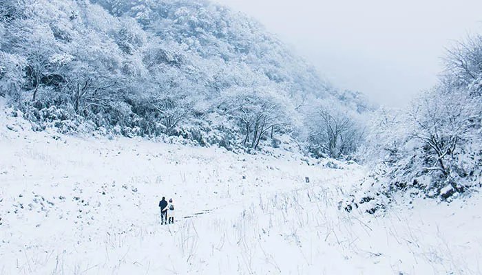 金佛山在哪里 重庆金佛山在什么地方