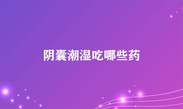 阴囊潮湿吃哪些药