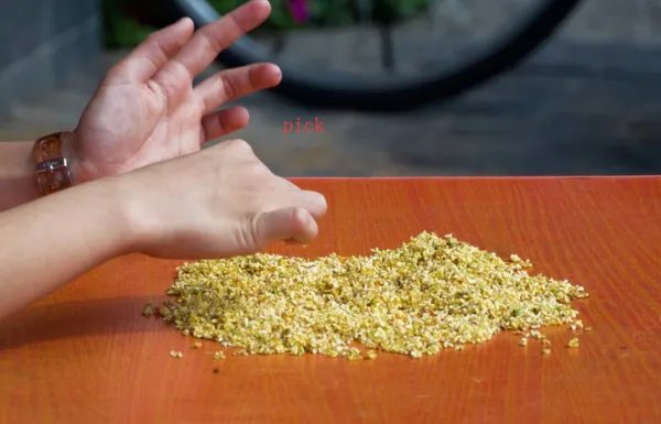 pick是什么意思