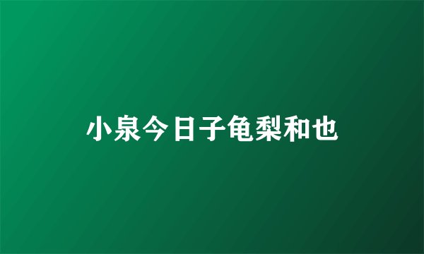 小泉今日子龟梨和也