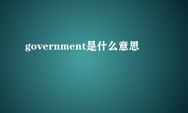 government是什么意思