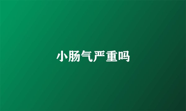 小肠气严重吗