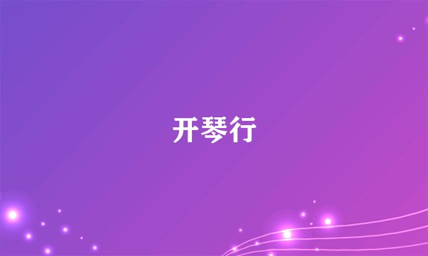 开琴行