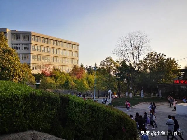 大理大学的樱花真的很多吗?好看吗?