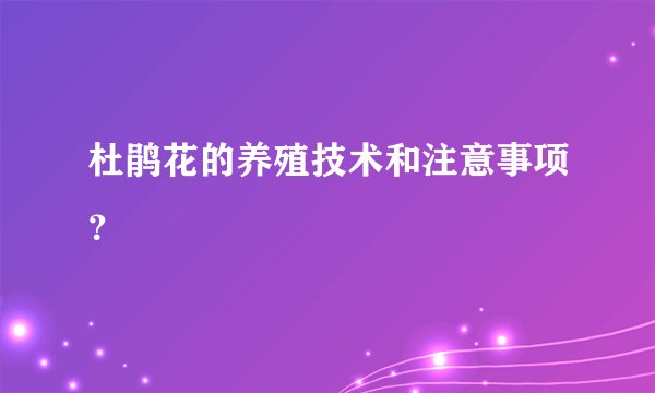 杜鹃花的养殖技术和注意事项？