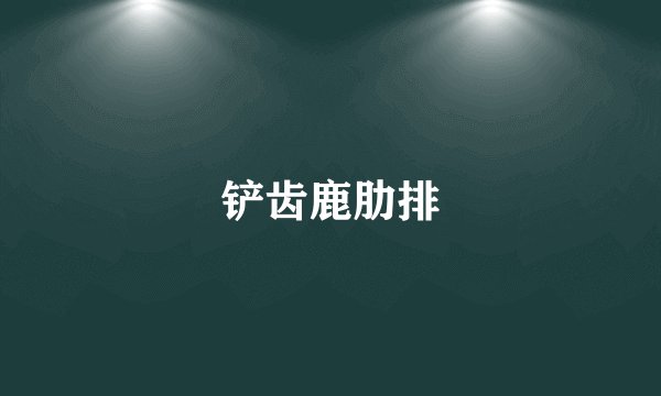 铲齿鹿肋排