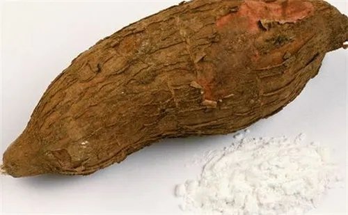 木薯是什么  快速了解木薯功效作用