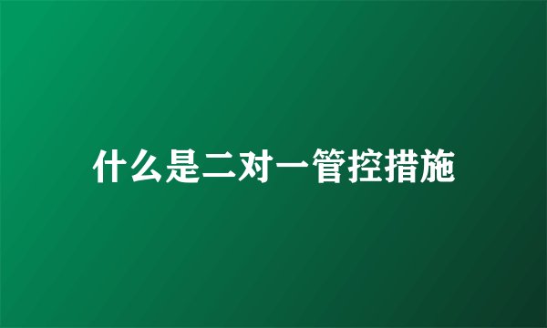 什么是二对一管控措施