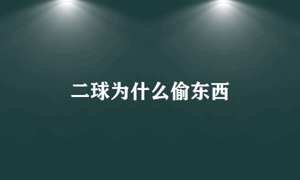 二球为什么偷东西