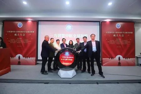 助力全球抗疫,一方智慧中医全球抗疫医学志愿者联盟成立