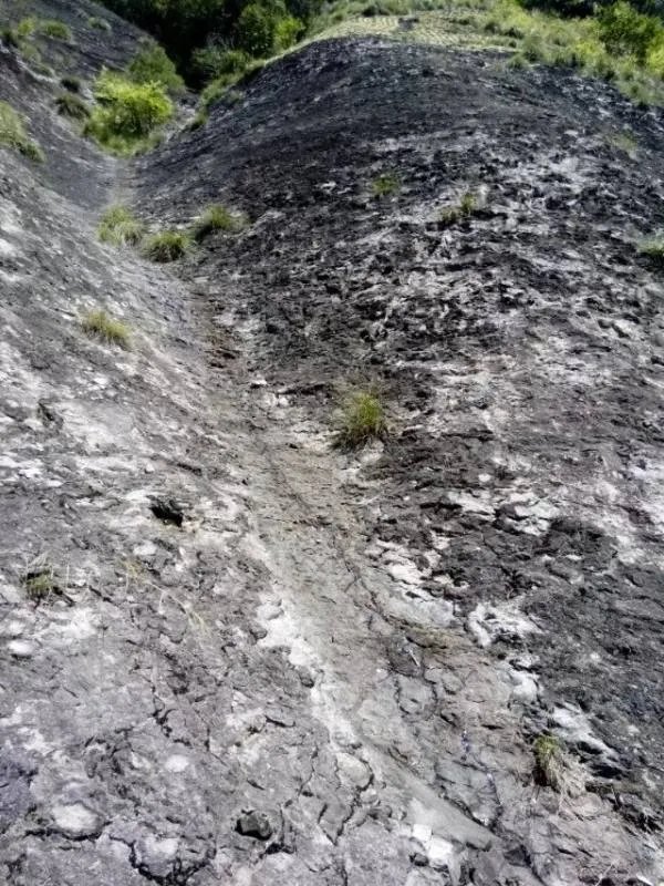 雁荡山好玩吗?