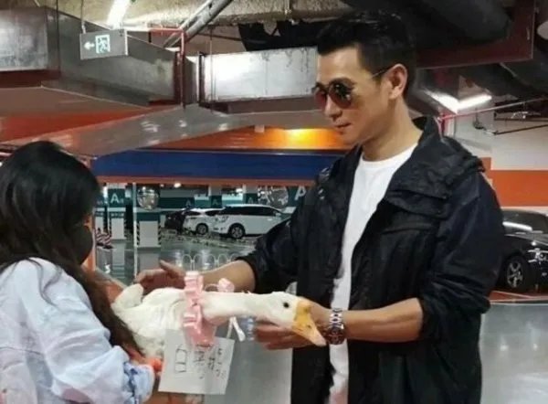 如何评价《如果可以这样爱》里保剑锋饰演的霸总祁树礼?