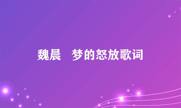 魏晨   梦的怒放歌词