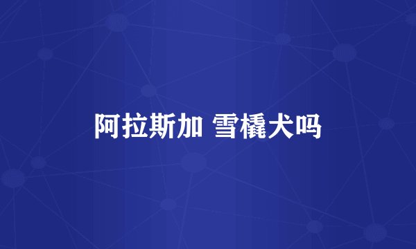 阿拉斯加 雪橇犬吗