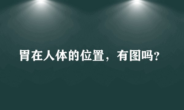 胃在人体的位置，有图吗？