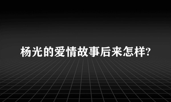 杨光的爱情故事后来怎样?