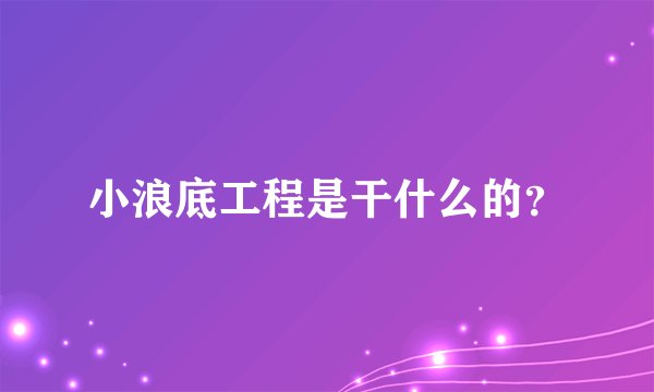 小浪底工程是干什么的？