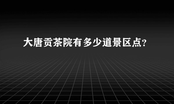 大唐贡茶院有多少道景区点？