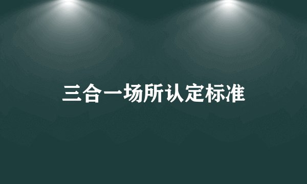 三合一场所认定标准
