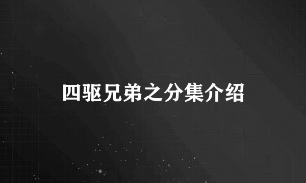 四驱兄弟之分集介绍