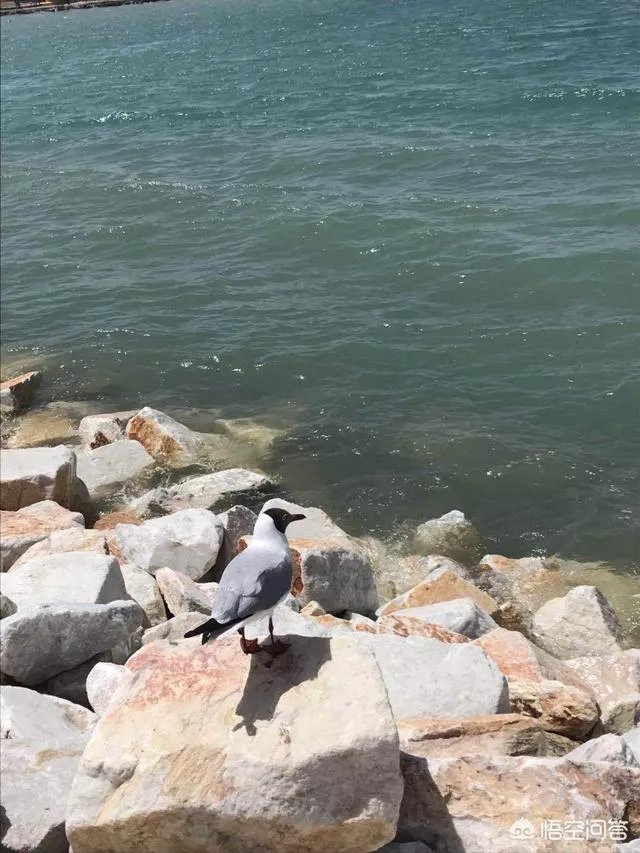 几月份去青海湖最好?为什么?