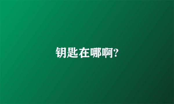 钥匙在哪啊?